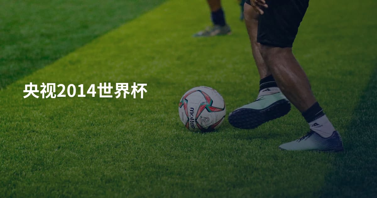 央视2014世界杯