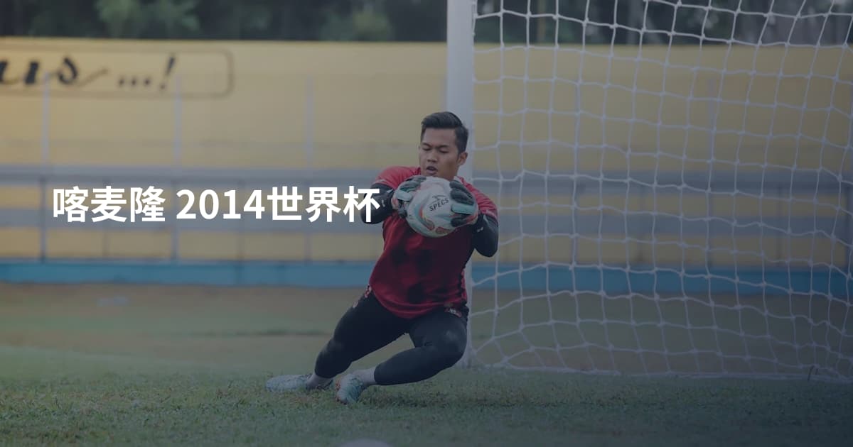 喀麦隆 2014世界杯