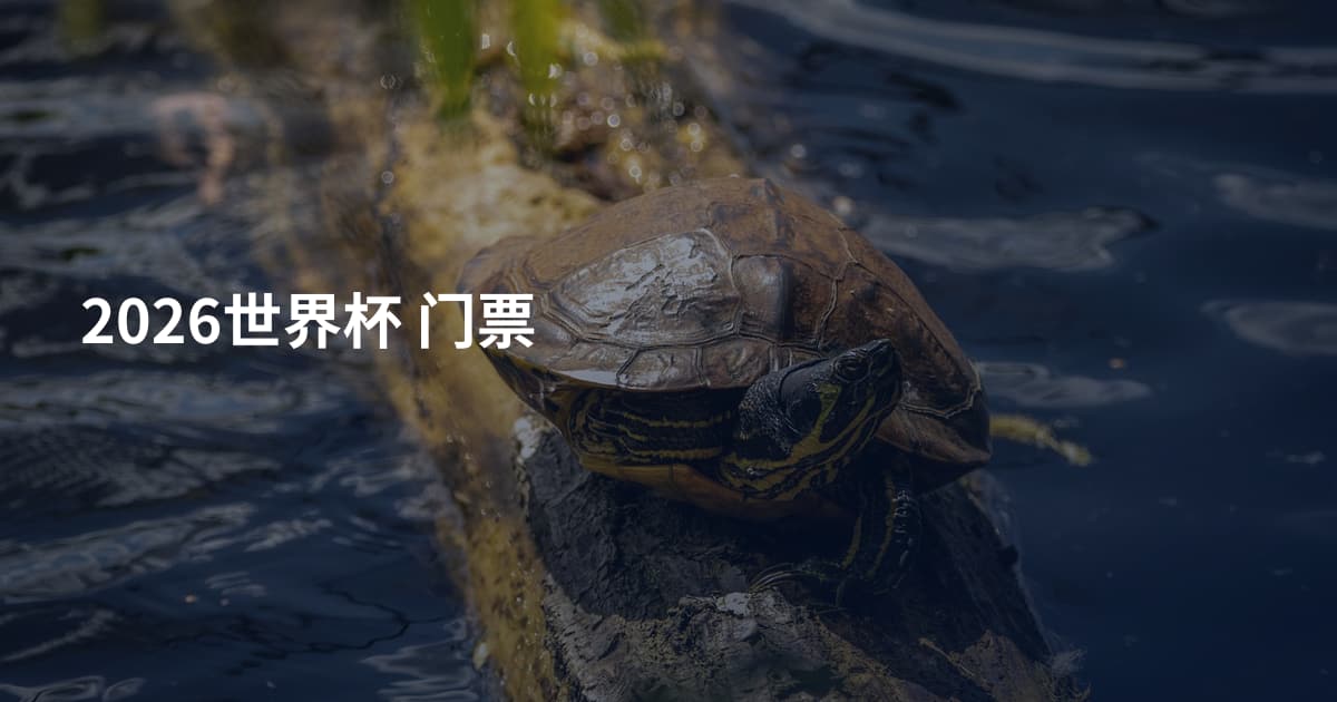 2026世界杯 门票