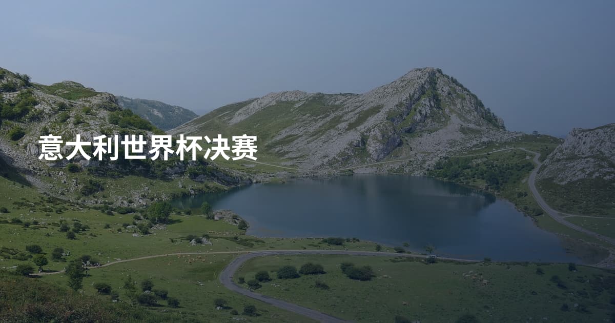意大利世界杯决赛