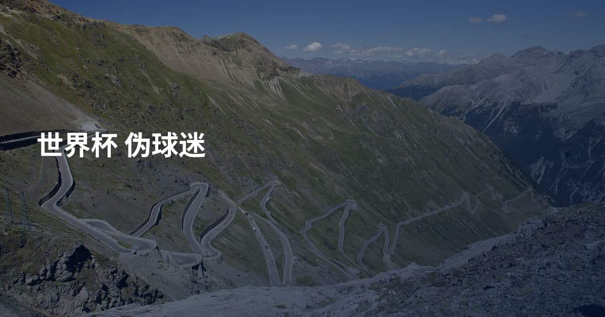 世界杯 伪球迷