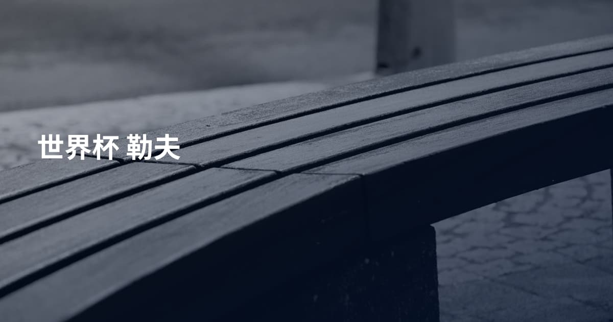 世界杯 勒夫