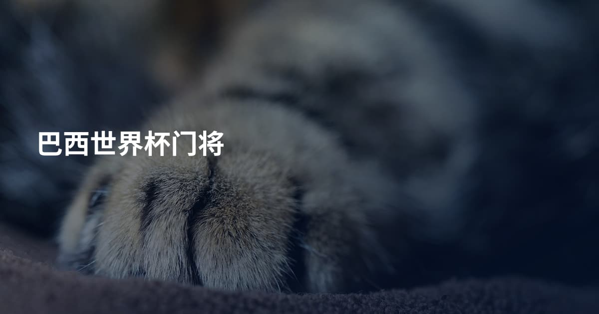 巴西世界杯门将