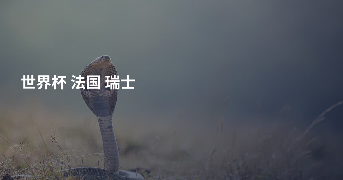 世界杯 法国 瑞士
