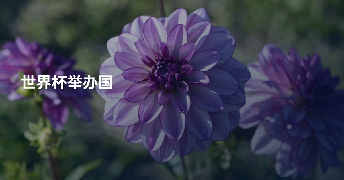 世界杯举办国