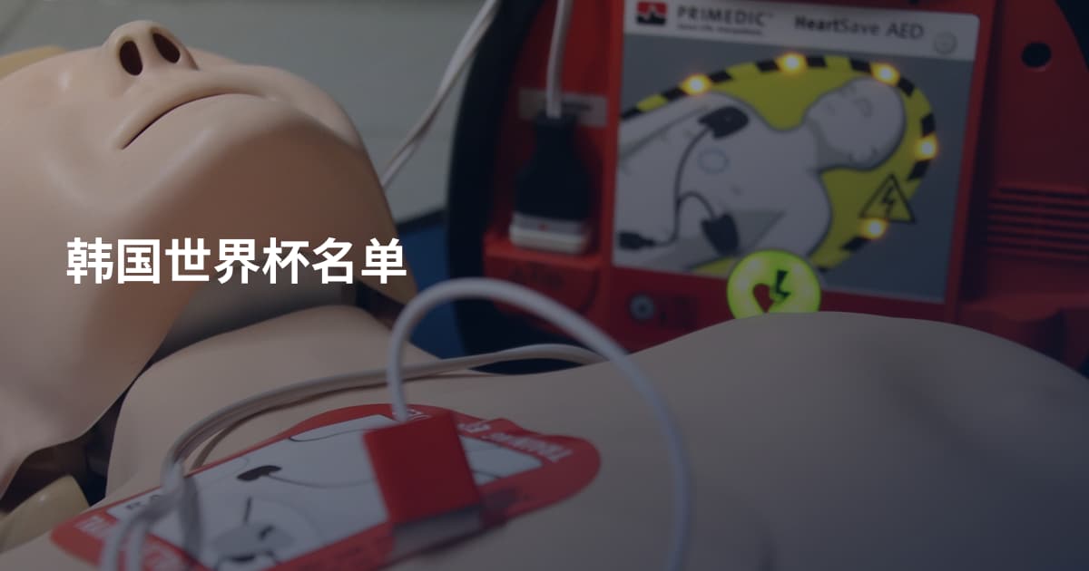 韩国世界杯名单