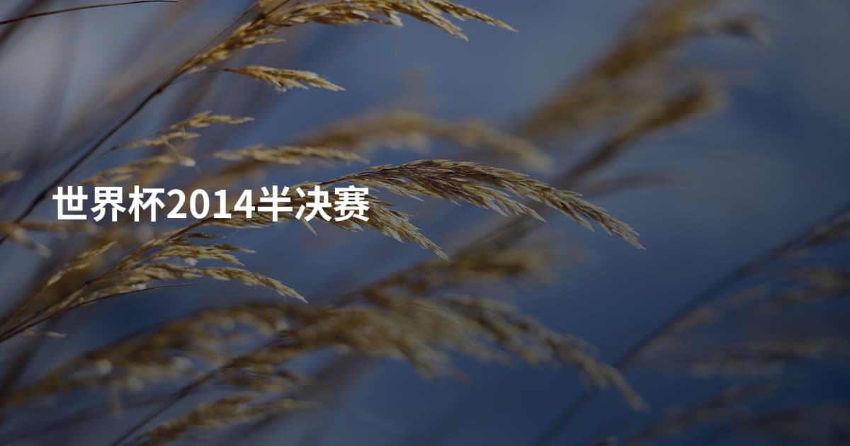 世界杯2014半决赛