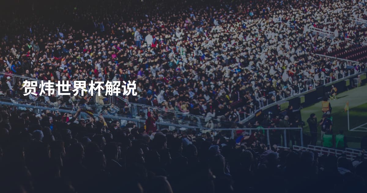 贺炜世界杯解说