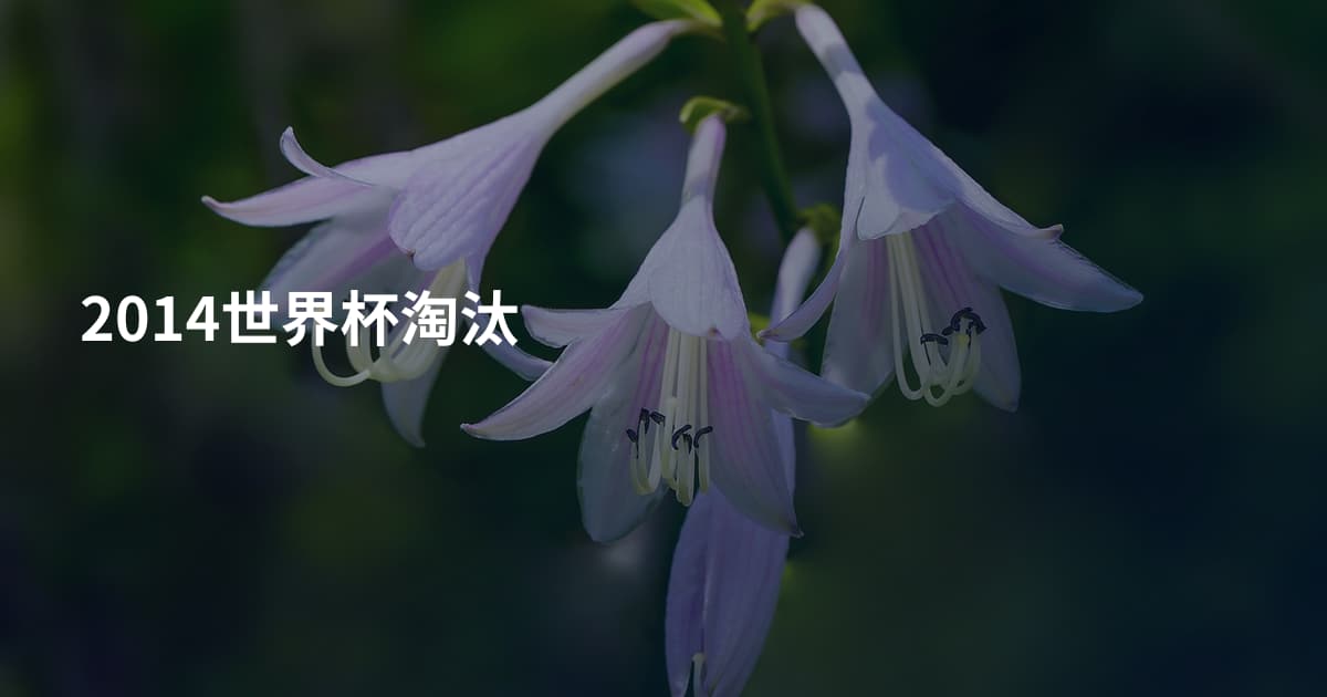 2014世界杯淘汰