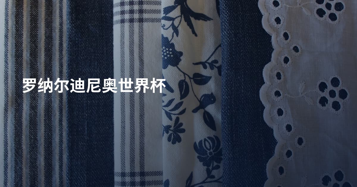 罗纳尔迪尼奥世界杯