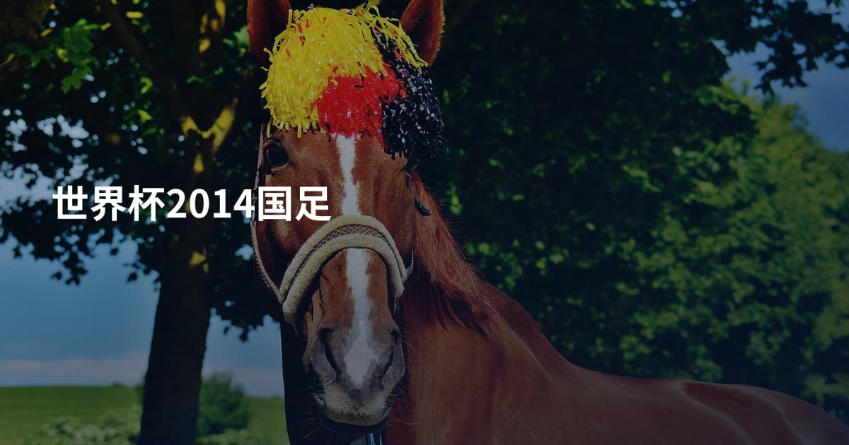 世界杯2014国足