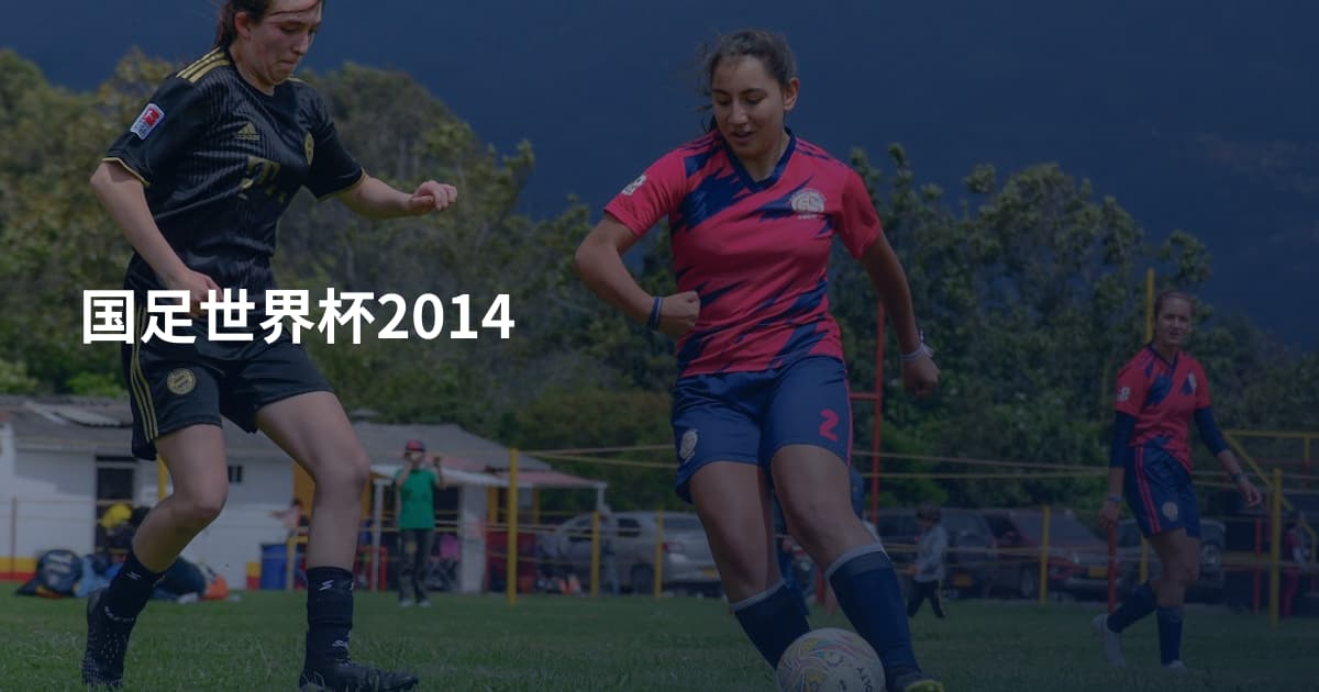 国足世界杯2014