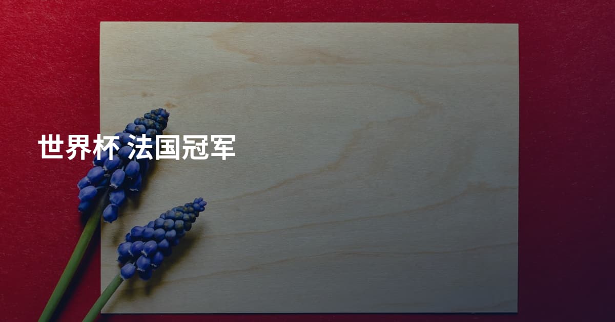 世界杯 法国冠军