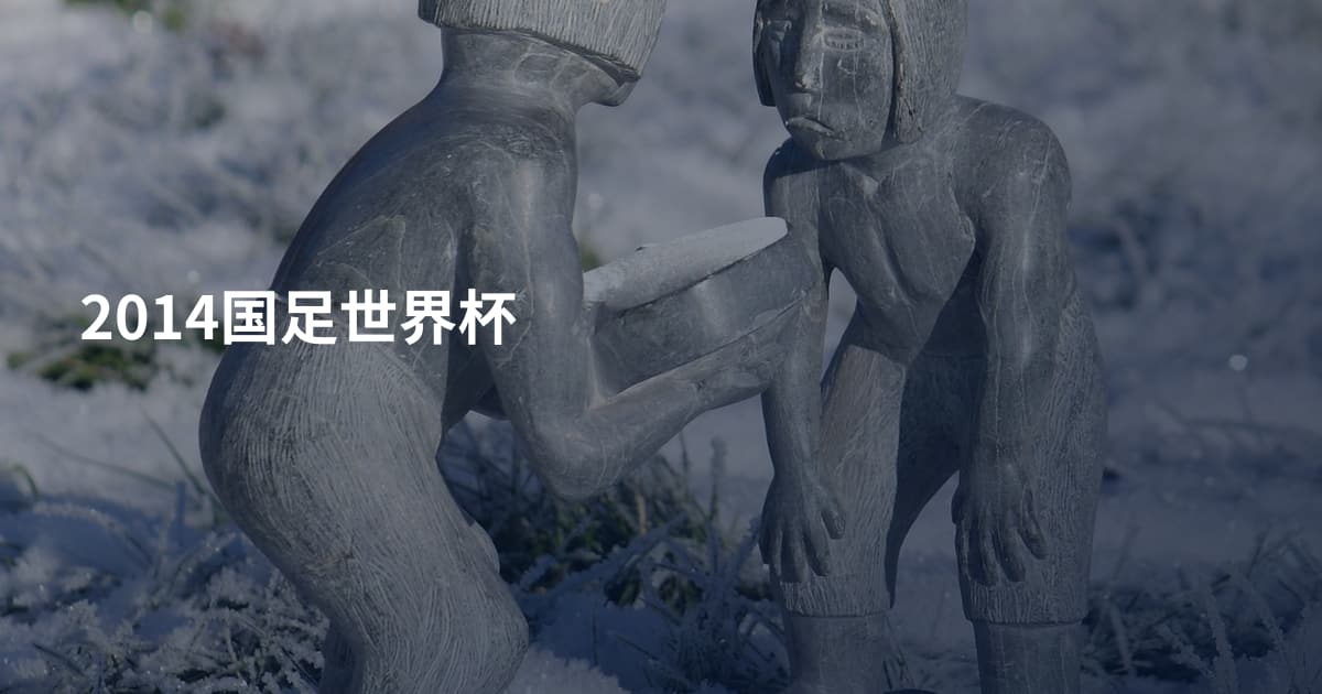 2014国足世界杯
