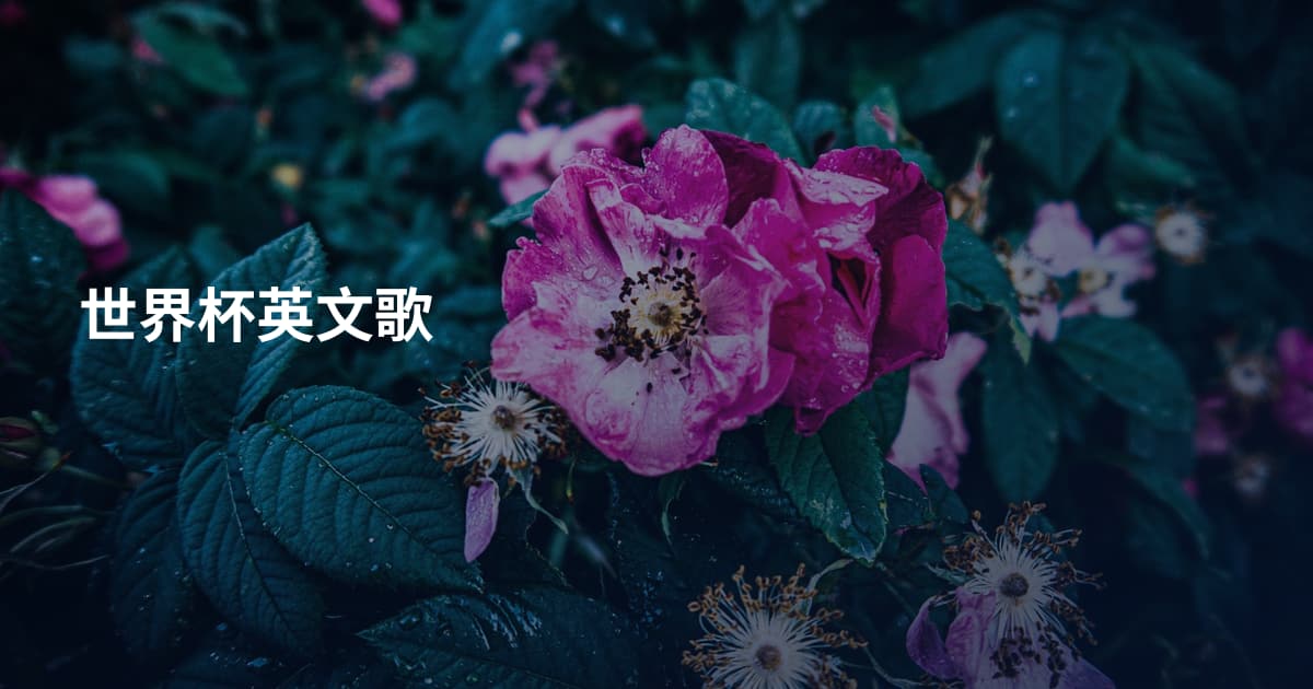 世界杯英文歌