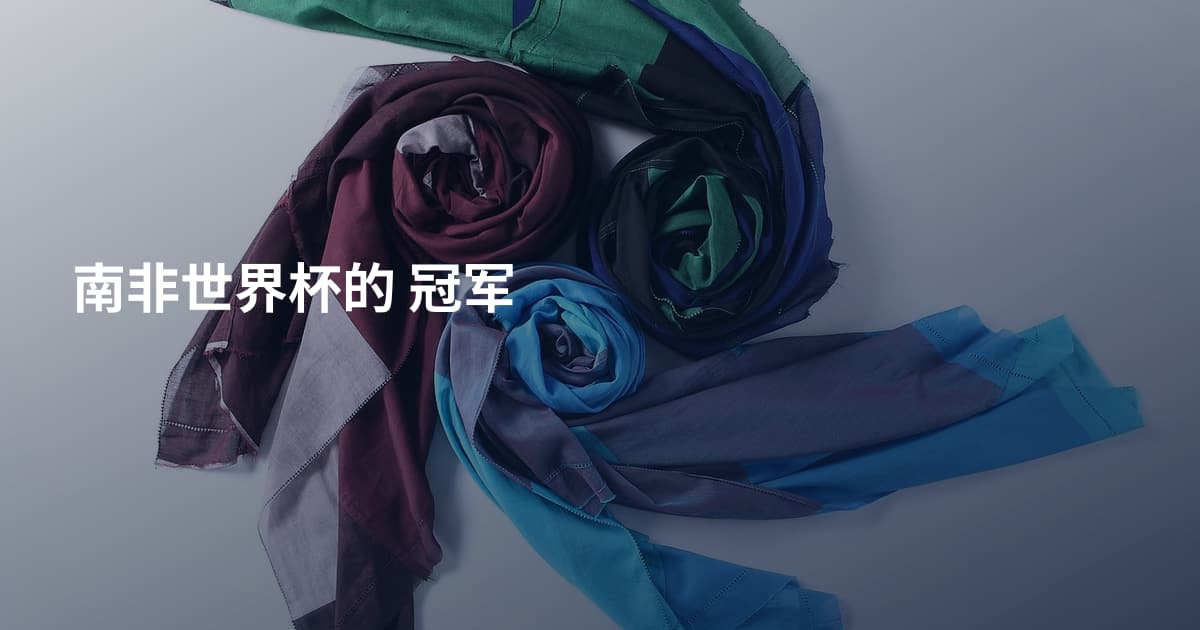 南非世界杯的 冠军