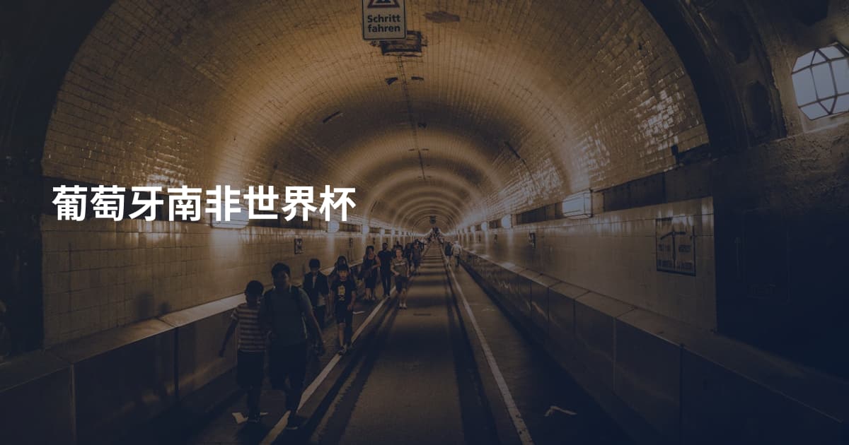 葡萄牙南非世界杯