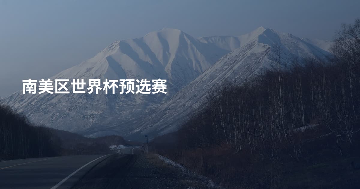 南美区世界杯预选赛