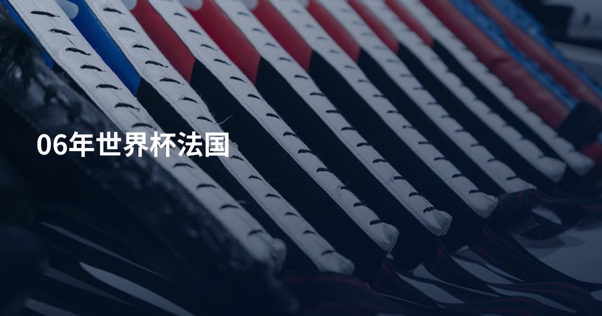 06年世界杯法国