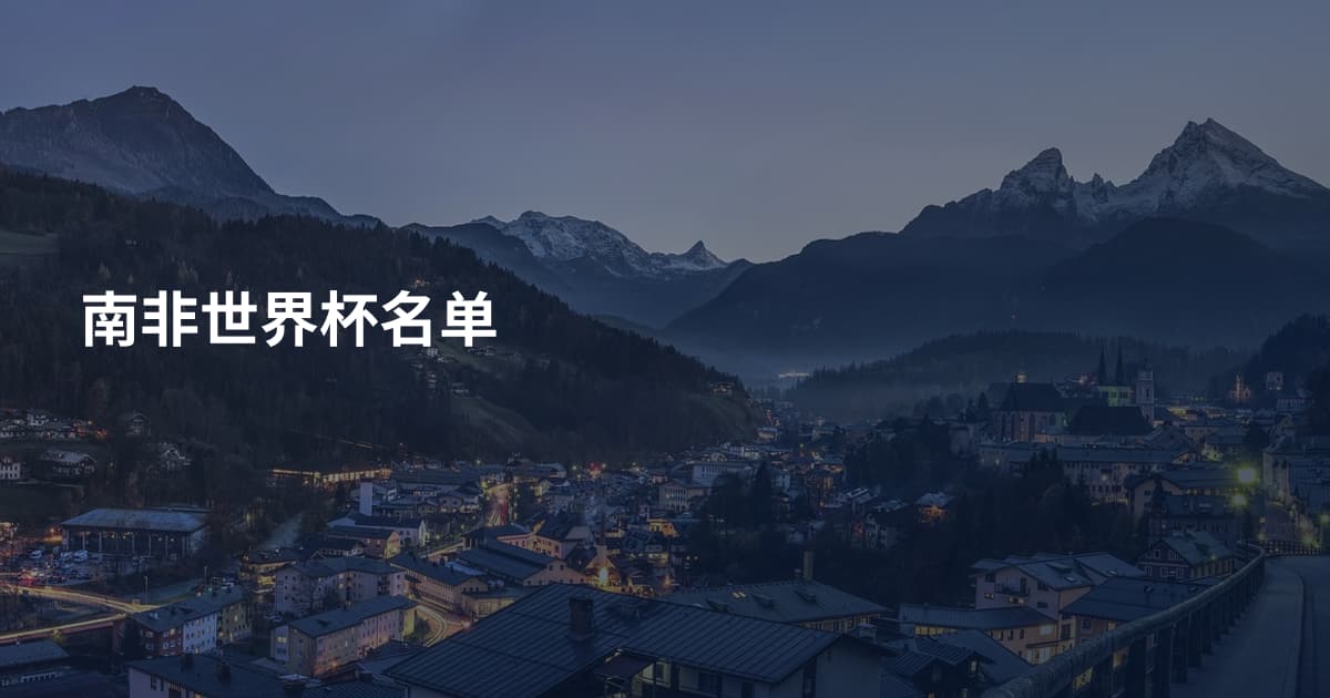 南非世界杯名单