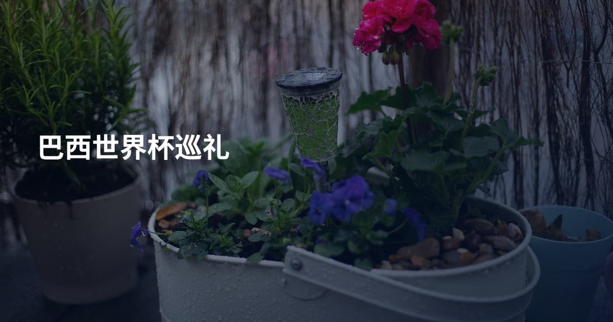 巴西世界杯巡礼