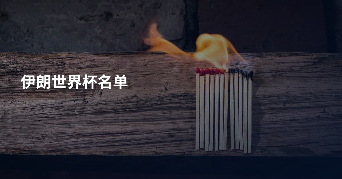 伊朗世界杯名单