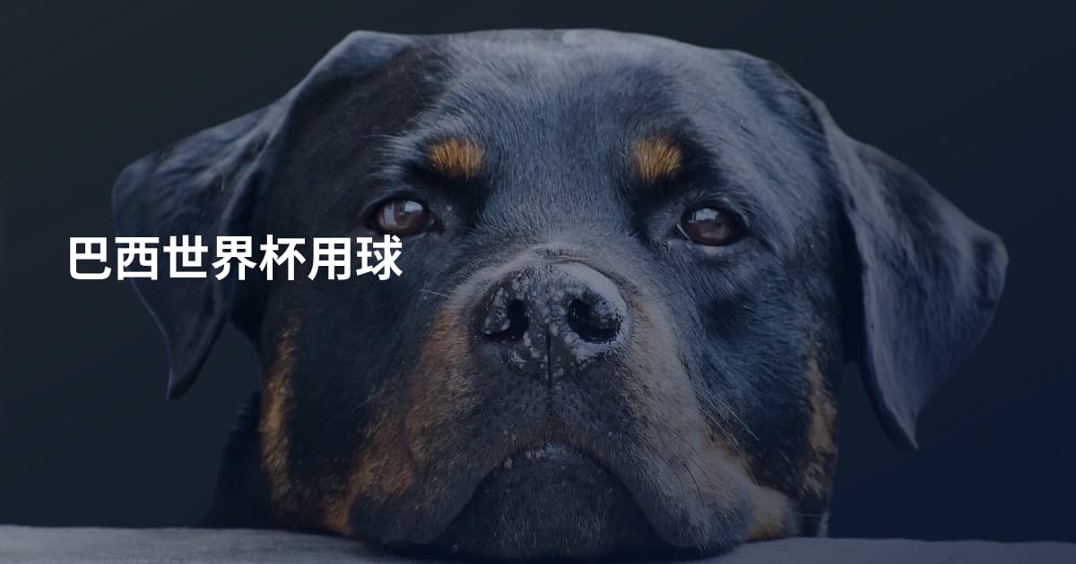 巴西世界杯用球