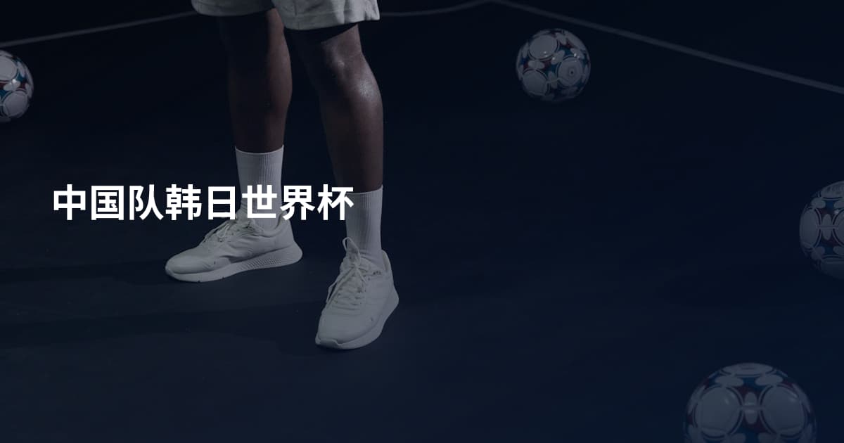 中国队韩日世界杯