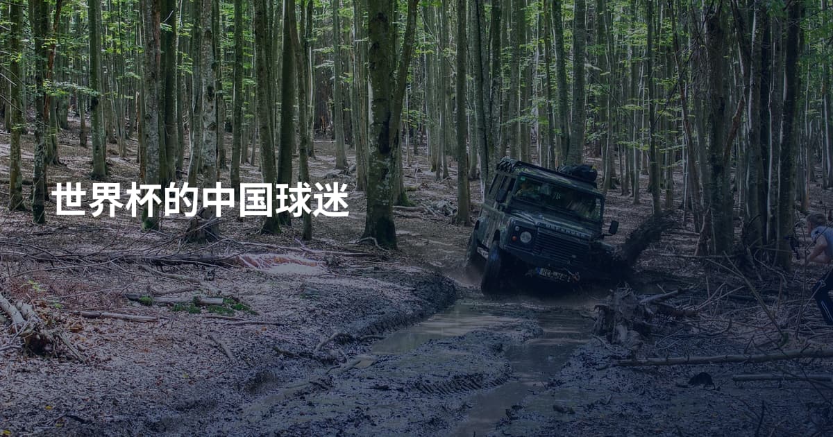 世界杯的中国球迷