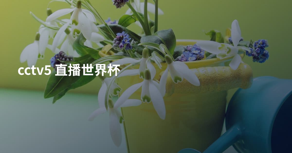 cctv5 直播世界杯