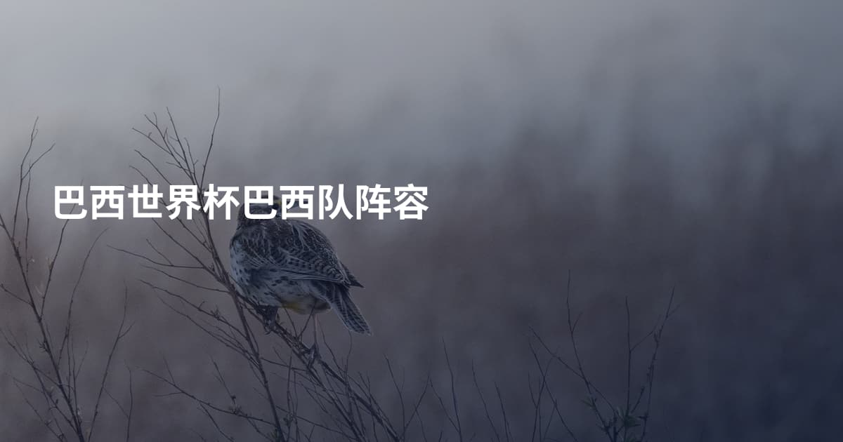 巴西世界杯巴西队阵容