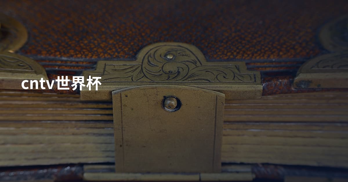 cntv世界杯