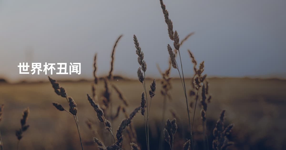 世界杯丑闻