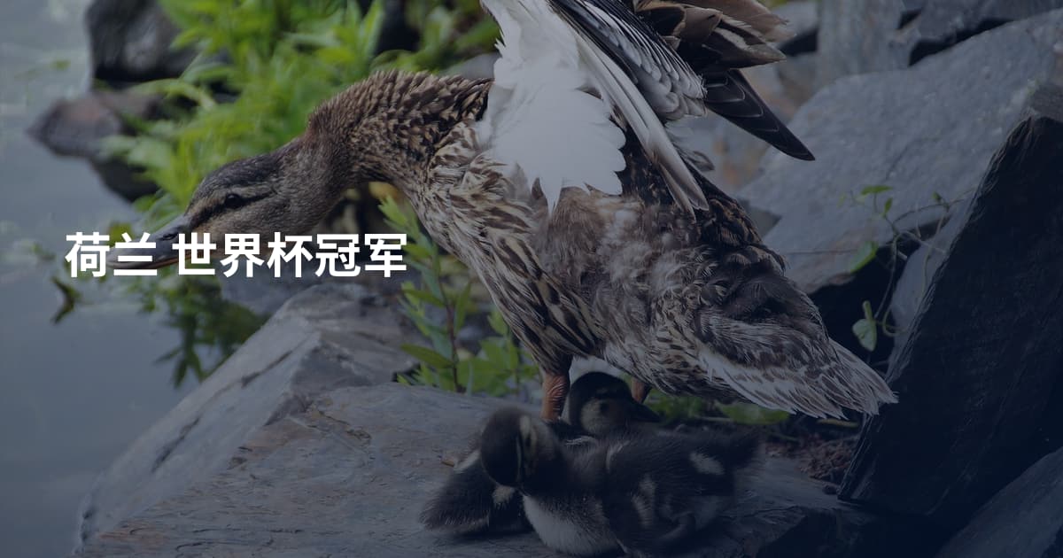 荷兰 世界杯冠军