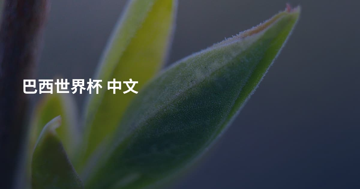 巴西世界杯 中文