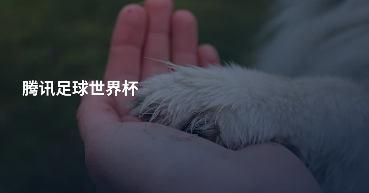 腾讯足球世界杯