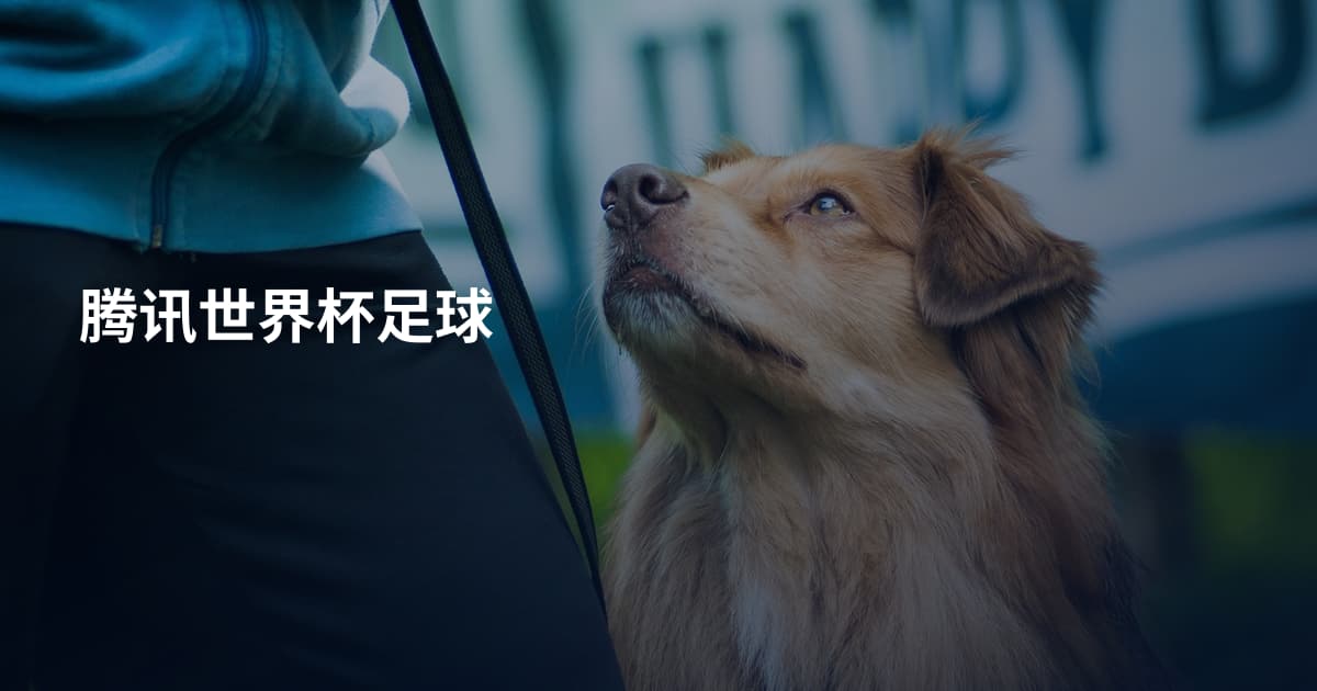 腾讯世界杯足球