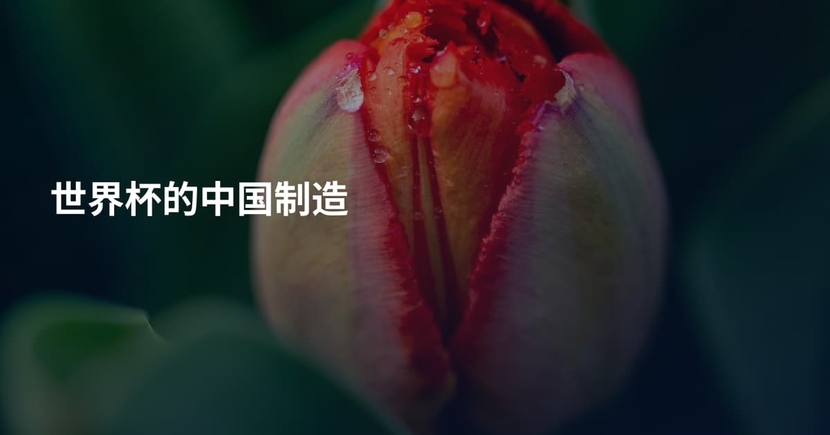 世界杯的中国制造
