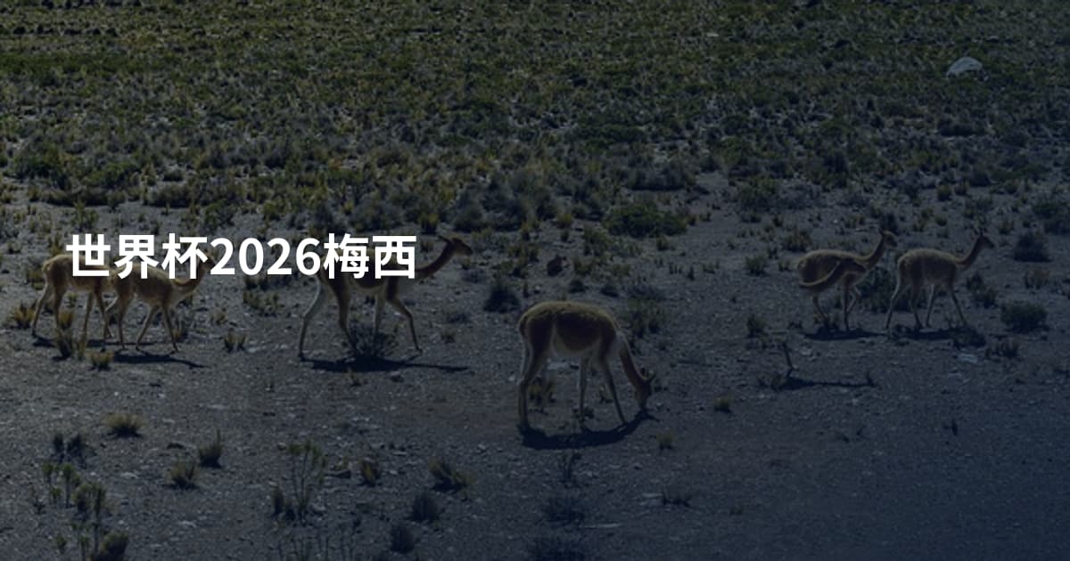 世界杯2026梅西
