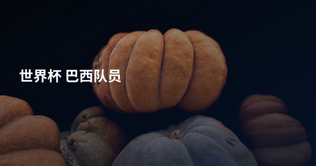 世界杯 巴西队员