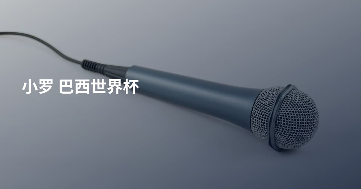 小罗 巴西世界杯