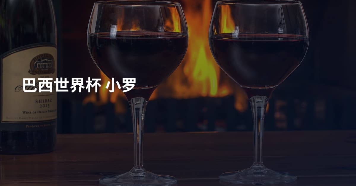 巴西世界杯 小罗