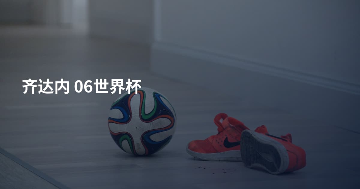 齐达内 06世界杯