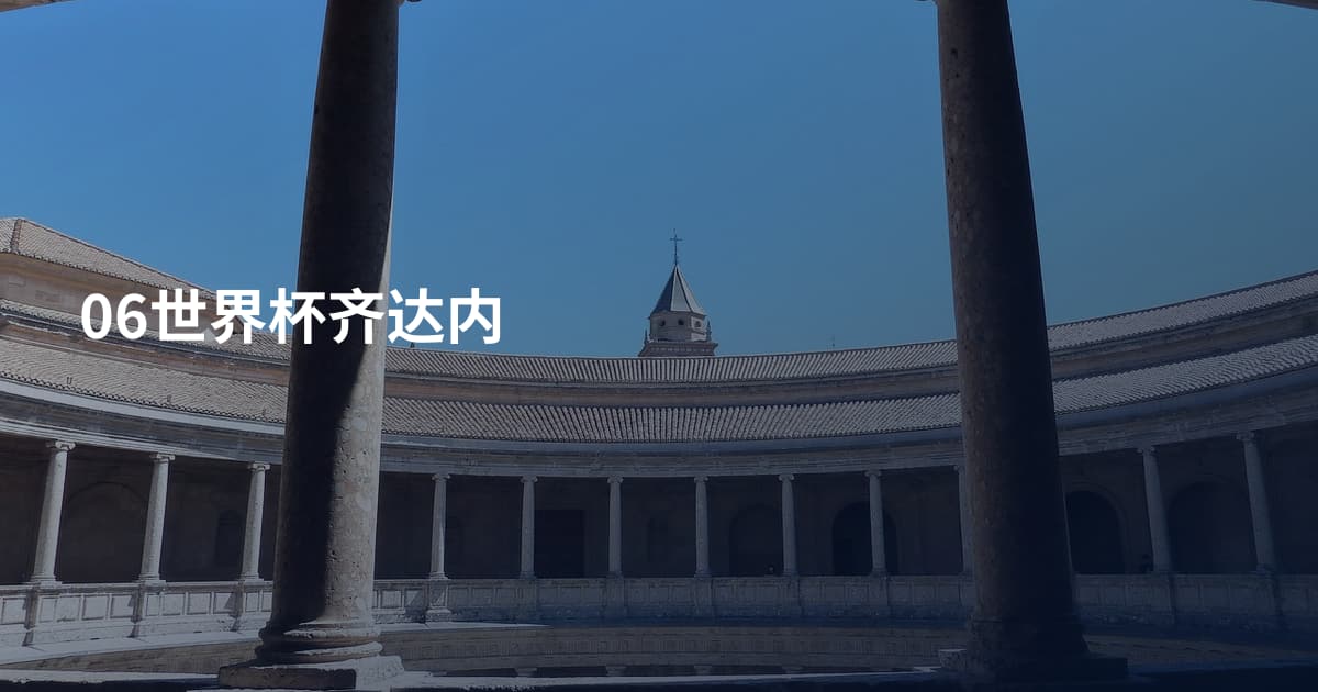 06世界杯齐达内
