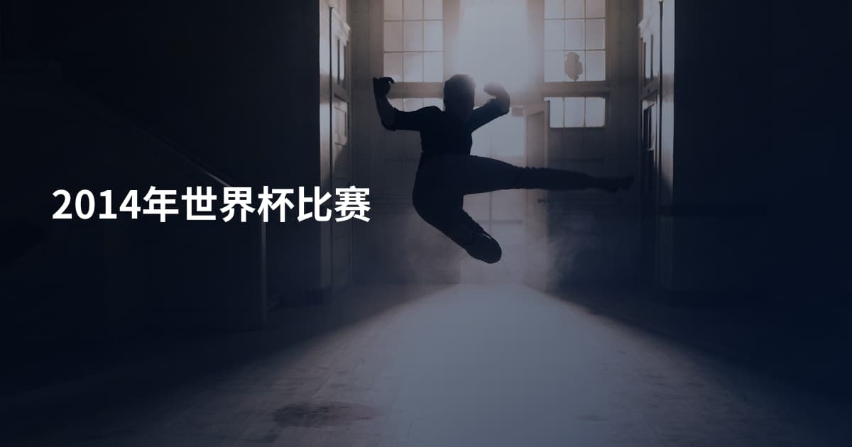 2014年世界杯比赛