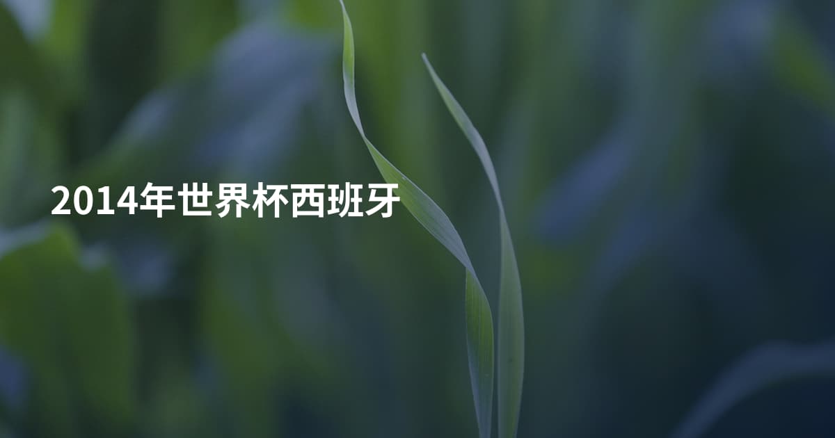 2014年世界杯西班牙