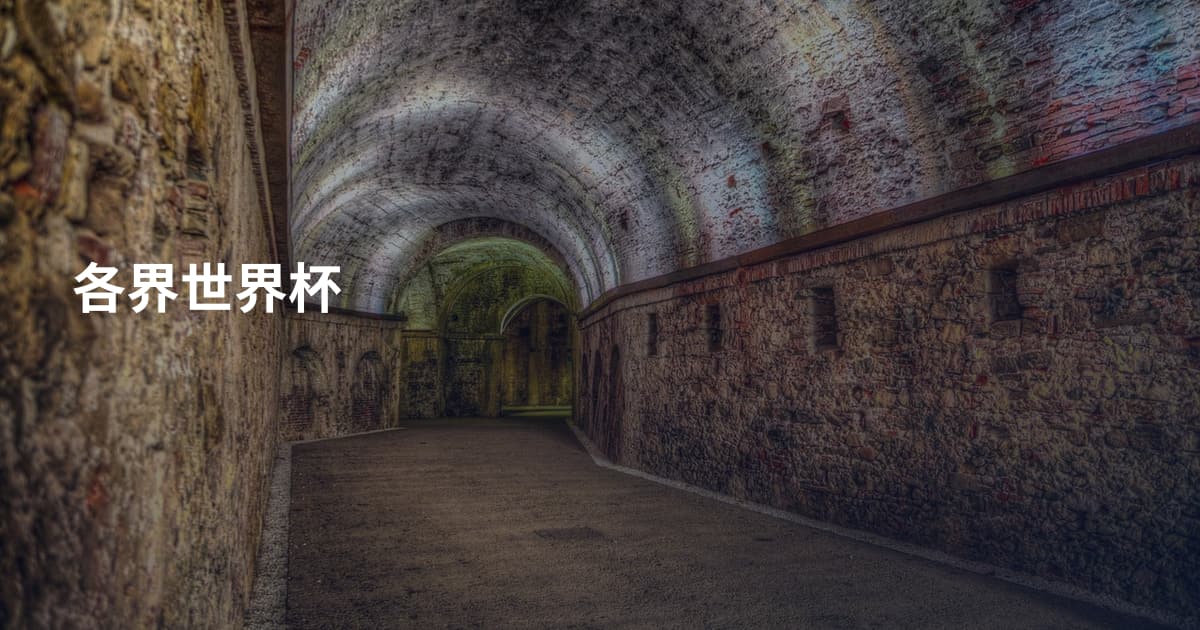 各界世界杯