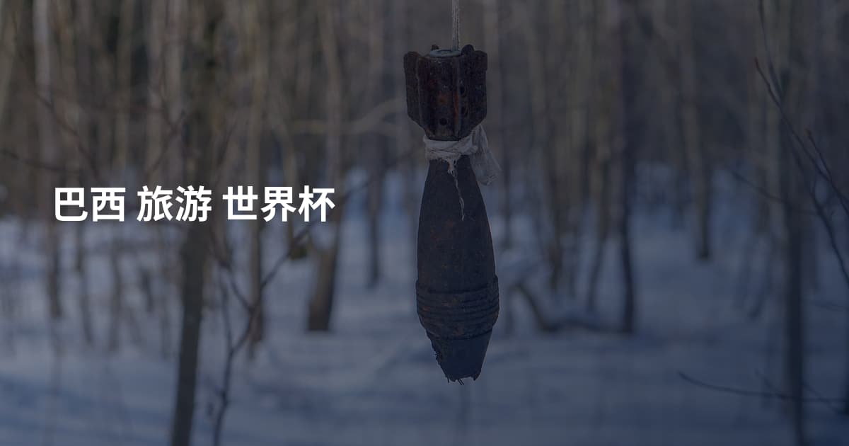 巴西 旅游 世界杯