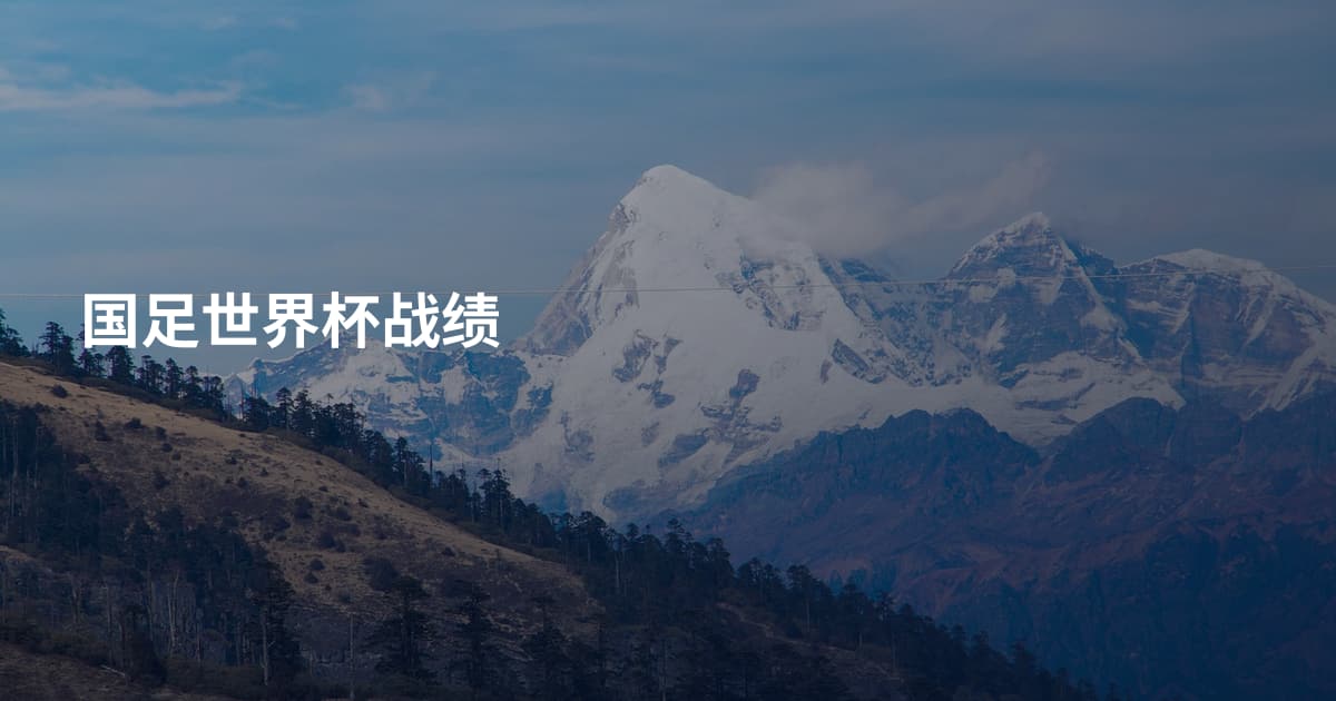 国足世界杯战绩