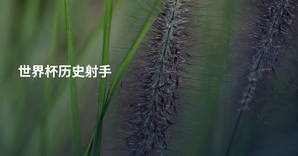 世界杯历史射手